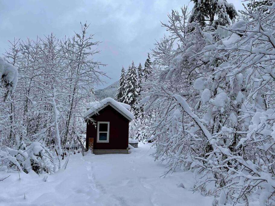 Cozy Tiny Home Steps Away From Mt. Rainier 애쉬포드 외부 사진