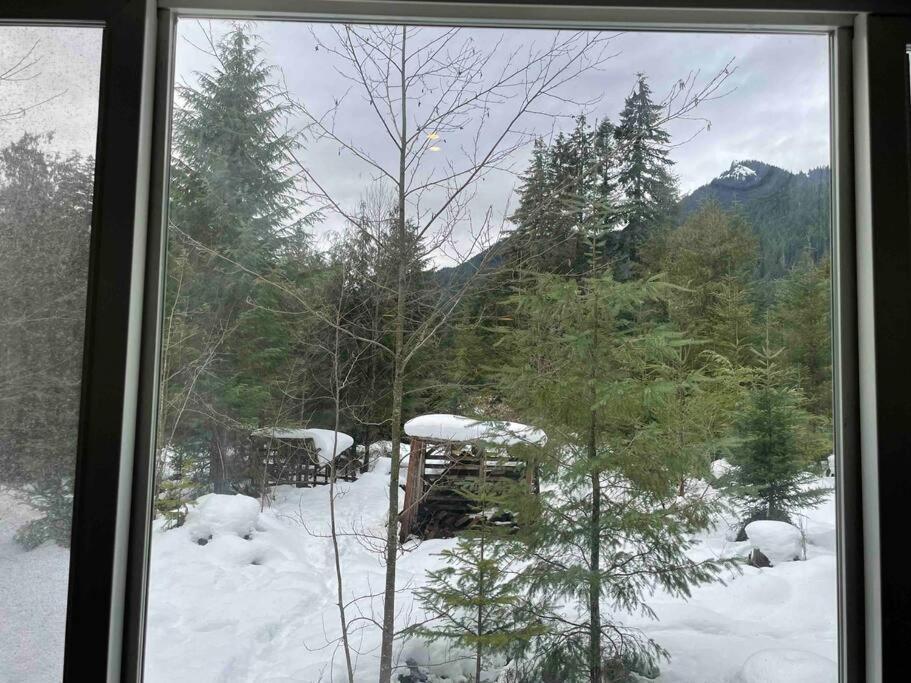Cozy Tiny Home Steps Away From Mt. Rainier 애쉬포드 외부 사진